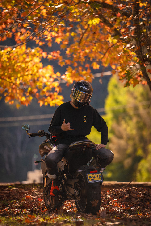 A helmeted rider on a motorcycle beneath orange autumn leaves